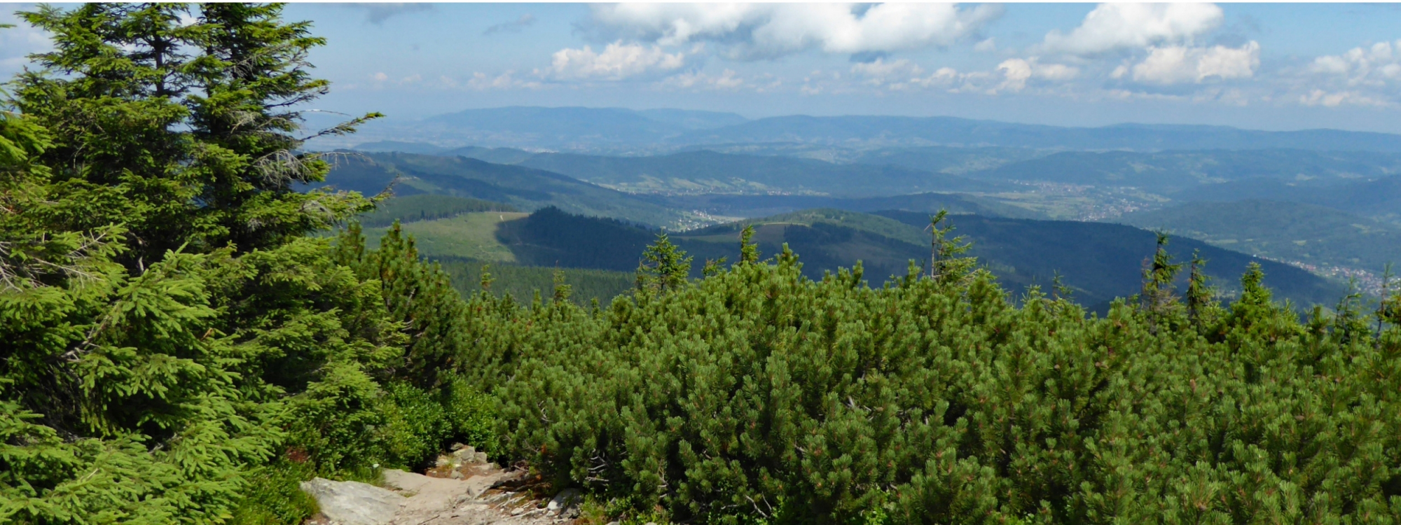 Żywiecki Park Krajobrazowy